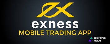 Exness Metatrader 4 Web Terminal Revolutionizing Online Trading