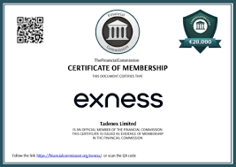 Exness Metatrader 4 Web Terminal Revolutionizing Online Trading