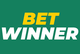 BetWinner Casino Platform Review Your Ultimate Gaming Destination
