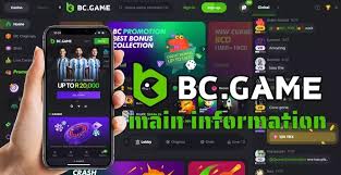 Explore the Exciting World of BC.Game Casino Platform