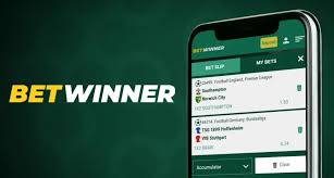 BetWinner Online Casino A Comprehensive Review