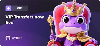 Comprehensive Review of Cybet Casino A New Era in Online Gambling -777245495